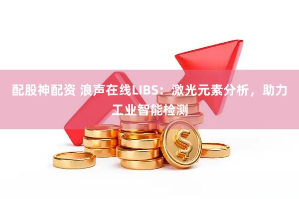 配股神配资 浪声在线LIBS：激光元素分析，助力工业智能检测